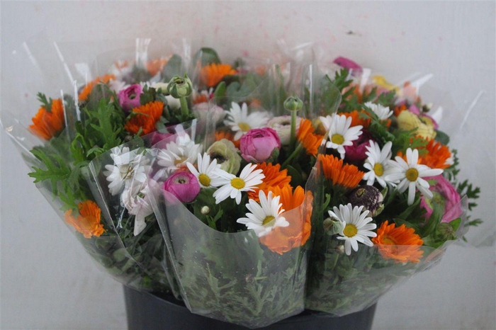 <h4>Boeket Primavera P Bunch</h4>
