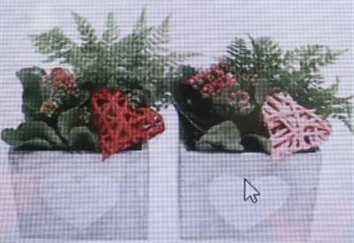 <h4>5468 HOUT VK WW</h4>