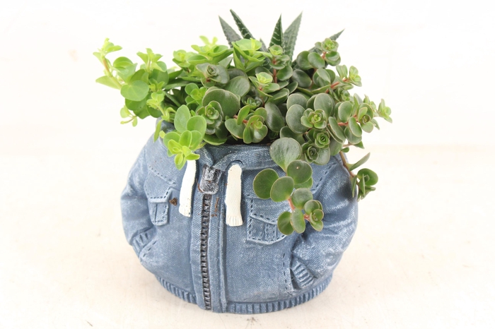 <h4>arr3 SN - Ker. hoodie bleu</h4>
