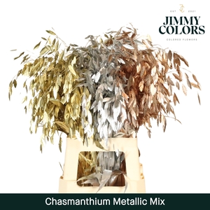 Chasmanthium L70 Metallic mix