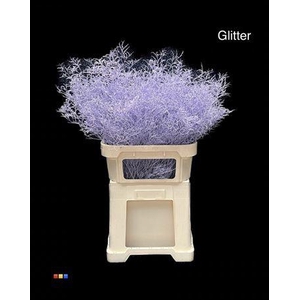 Limonium Light Milka + Glitter Bio