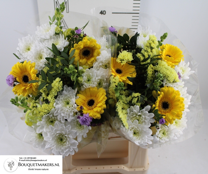 <h4>GEM BOEKET OV</h4>