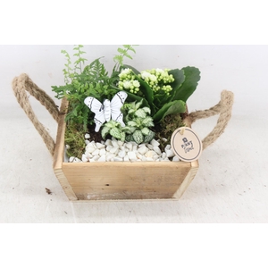 arr2 PL - Hout 4kant touw oor - wit