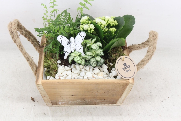 <h4>arr2 PL - Hout 4kant touw oor - wit</h4>