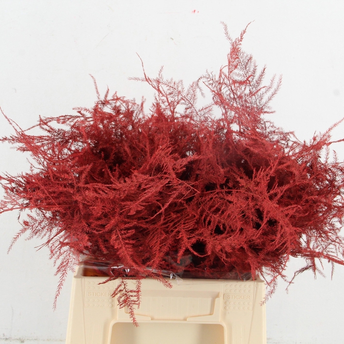 <h4>ASP OV KLB H%</h4>