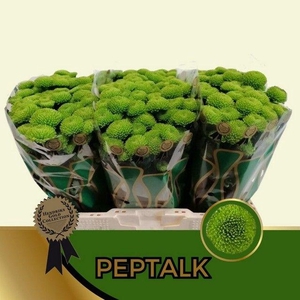 CHR S AAA PEPTALK