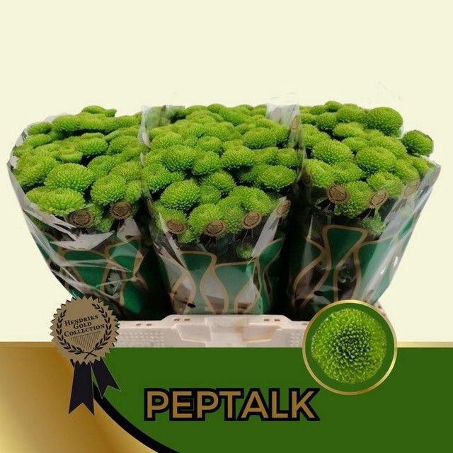<h4>CHR S AAA PEPTALK</h4>