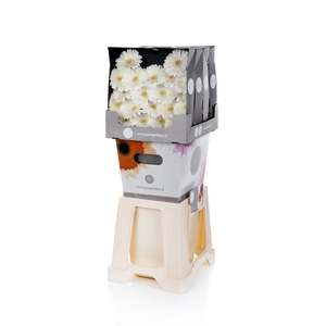 Germini Lobby Diamond