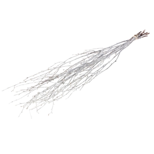 Birch 60cm 10pc White Misty