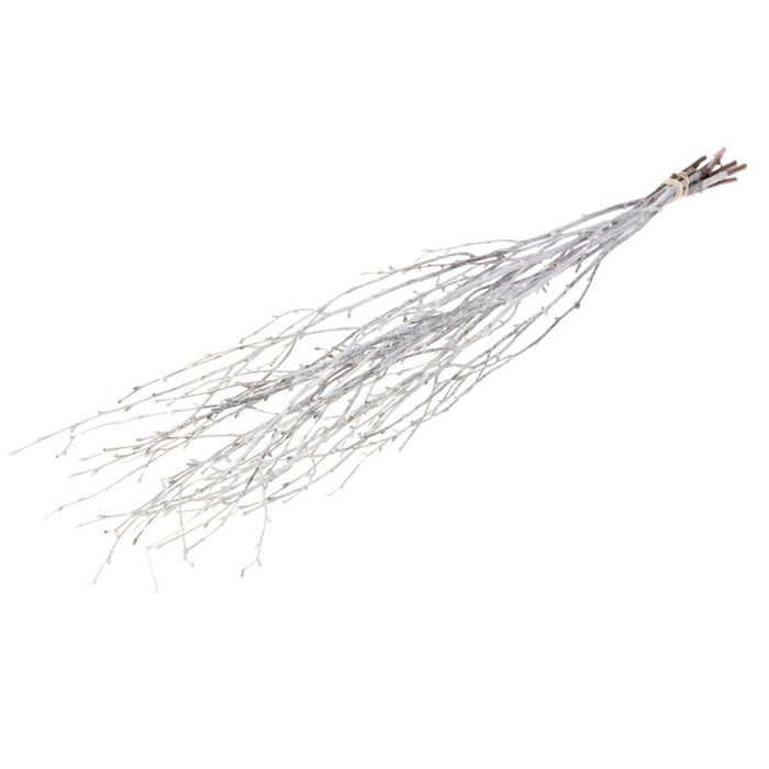 <h4>Birch 60cm 10pc White Misty</h4>