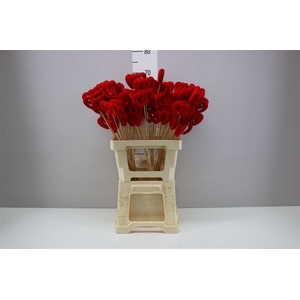 Hartje Op Stok Rood Fluweel Duohart