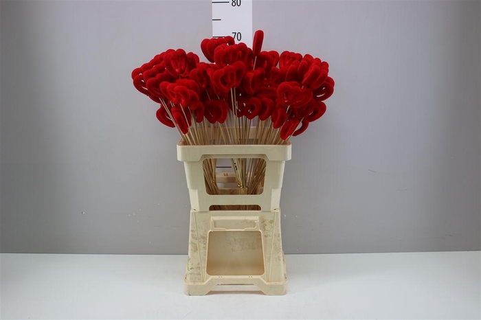 <h4>Hartje Op Stok Rood Fluweel Duohart</h4>