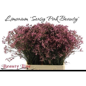 LIM SIN SEN PIN BEAU