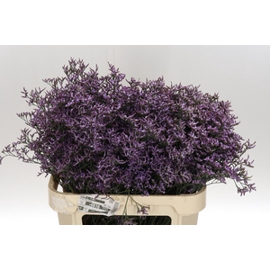 Lim Saf Lilac 80/40 Gram