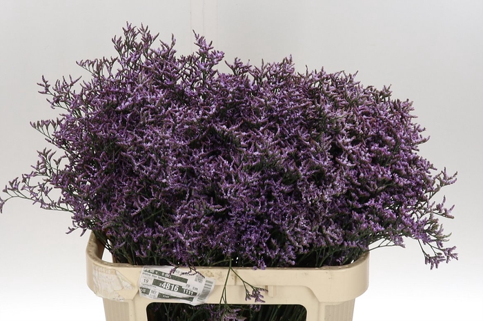 <h4>Lim Saf Lilac 80/40 Gram</h4>