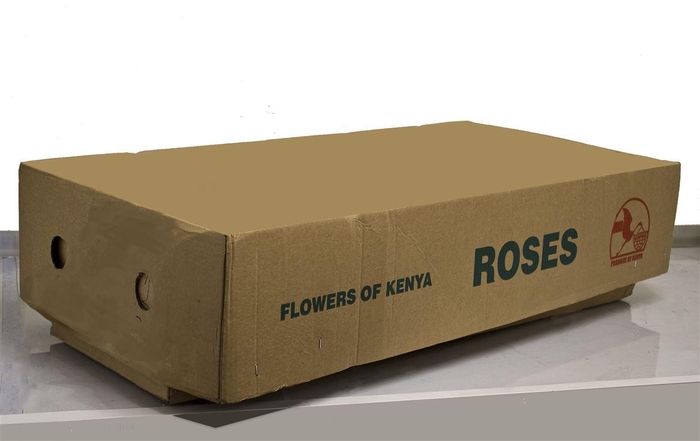 <h4>R Gr Pink Rhodos</h4>