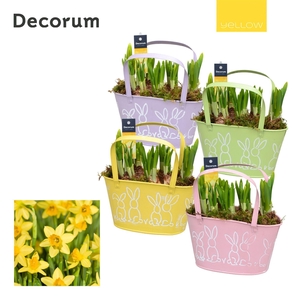 Narcis Colourful Basket HL12765 [YELLOW]