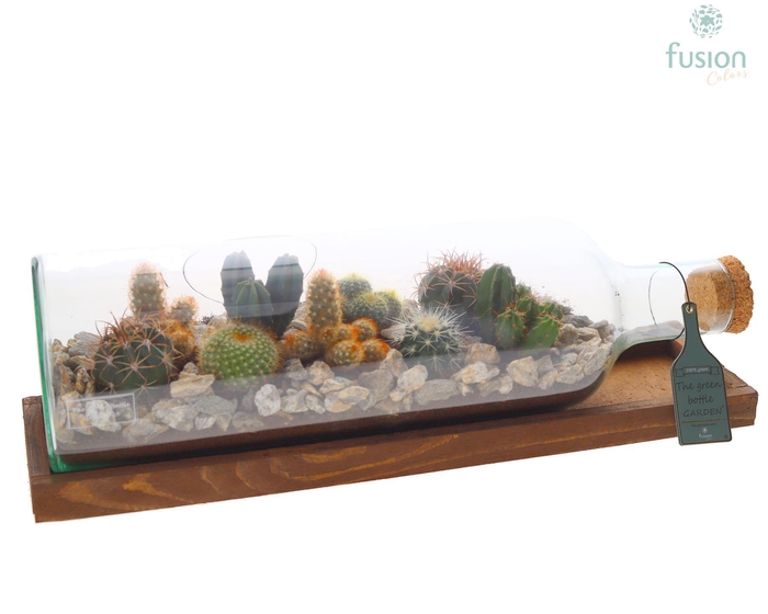 <h4>Green Bottle Fles Large liggend met Cactussen</h4>