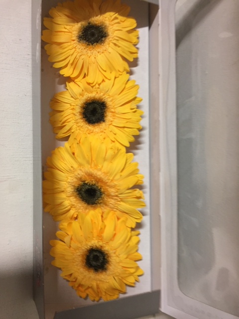 Gerbera geel stab.
