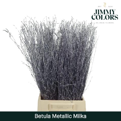 <h4>Betula L60 Mtlc. Milka</h4>