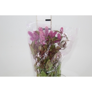 CAMARAO ROSA 050 CM