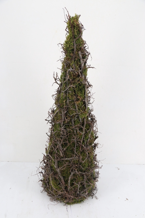 <h4>Cone Moss Bonsai 90cm</h4>