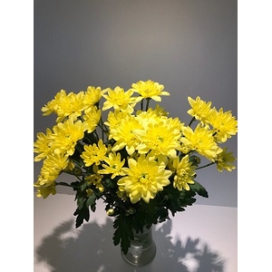 Chr Spray Yellow  Pina Colada Yellow
