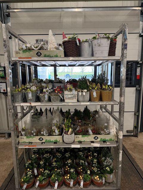 <h4>ARR PL IN SCHAAL</h4>