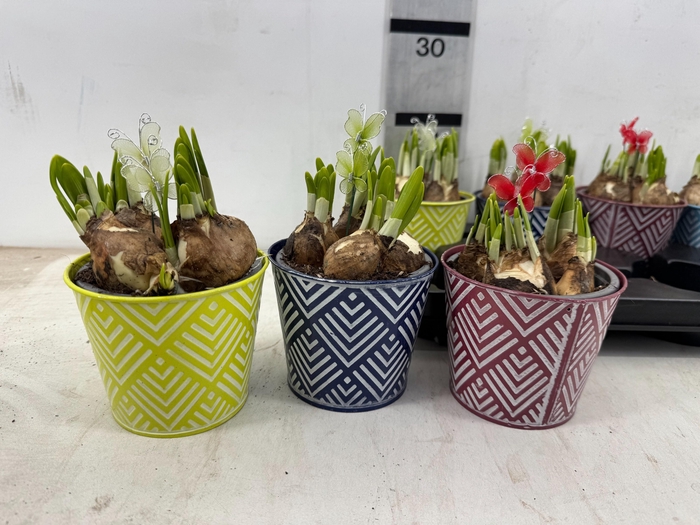 <h4>ARR N TETE A TETE</h4>