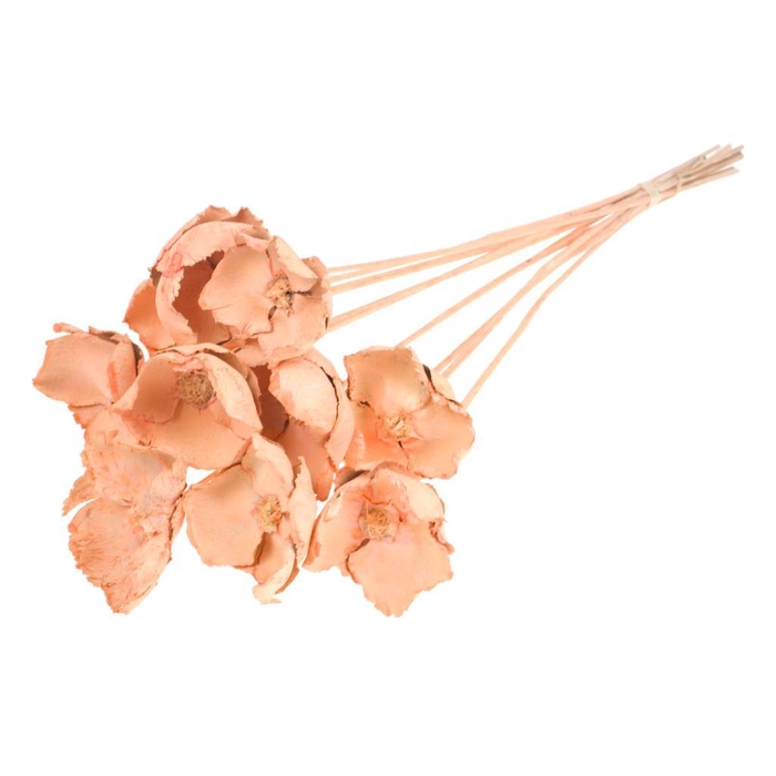 <h4>Palmcup O/s 10pc Coral Misty</h4>