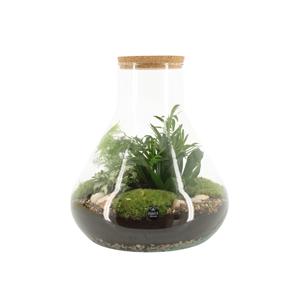 <h4>90077: Terrarium arrangement</h4>