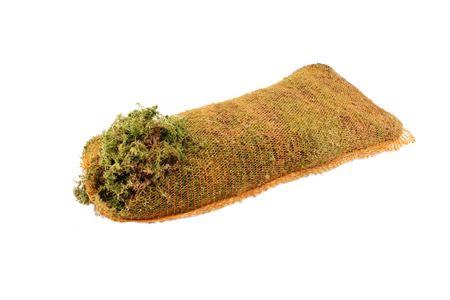 <h4>Sphagnum H%</h4>