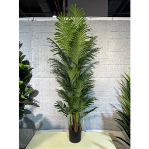 Plant Areca3 palm 180cm in pot green