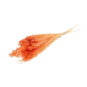 Bunch Broom Slv 100g L45