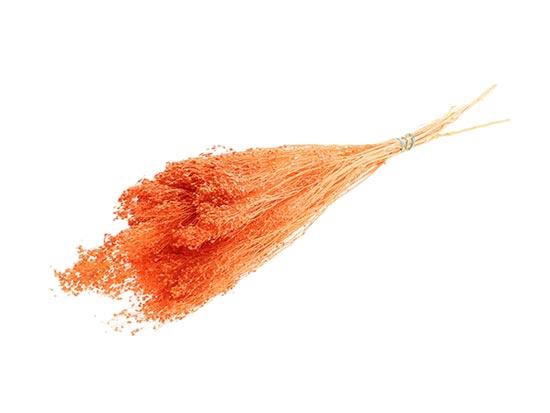 Bunch Broom Slv 100g L45