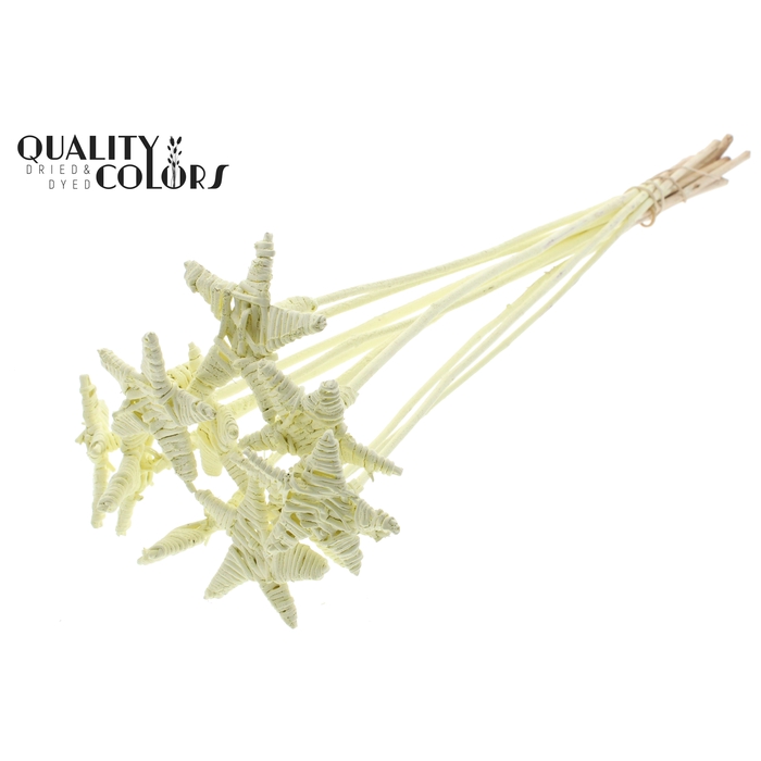 <h4>Lata Star on stem Covered Creme</h4>