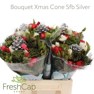 Bouquet Xmas Cone Sfb Silver