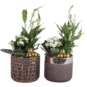 Christmas Arr. Indoor Ceramic Pure Luxury N568 Ø13cm 2PP