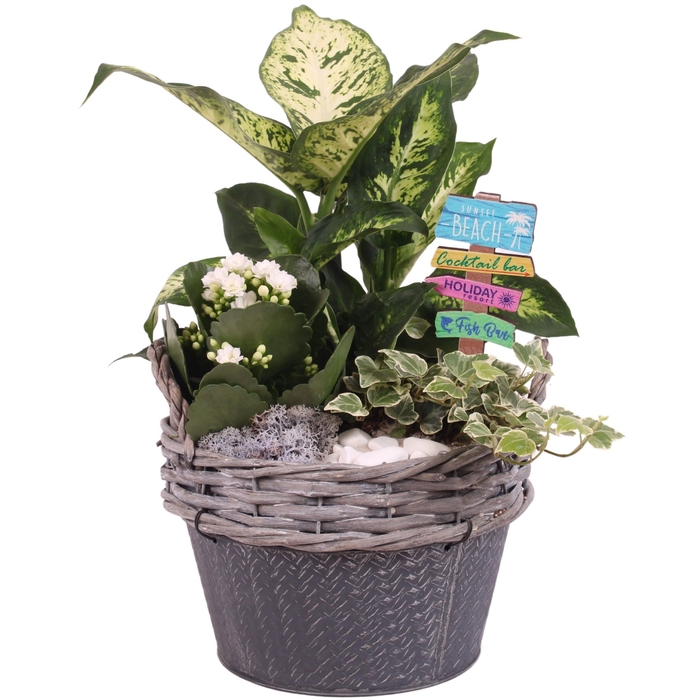 <h4>Opm Maritime Arr. Indoor Willow Basket Round Zinc</h4>