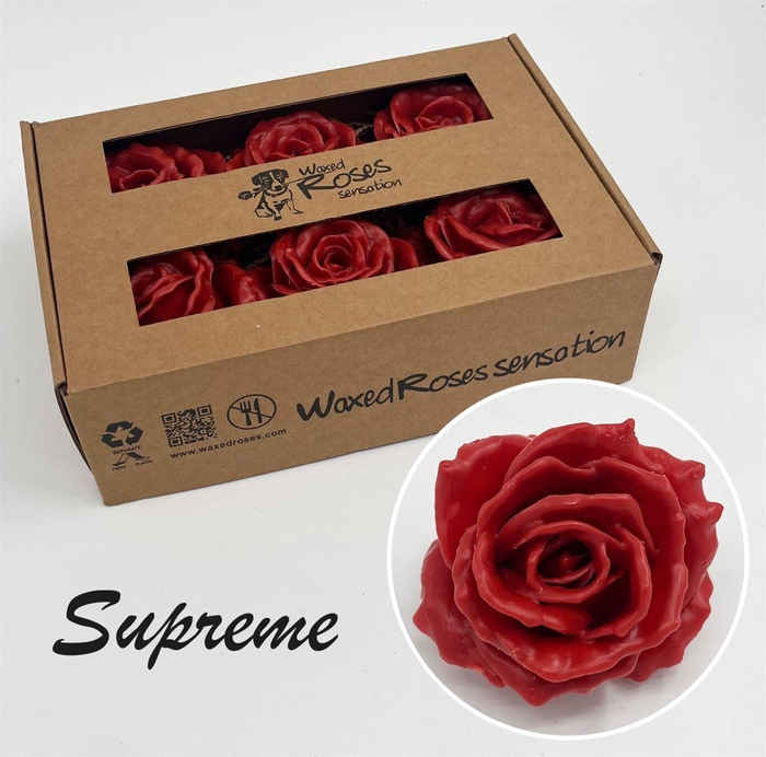 <h4>Zijde R Supreme Caramel Wx</h4>