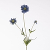 AF Scabiosa x3 L63cm Blue