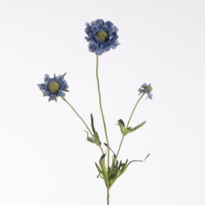 AF Scabiosa x3 L63cm Blue