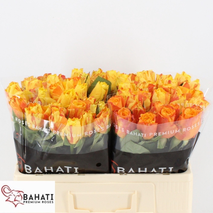 <h4>R GR CONFIDENTIAL</h4>