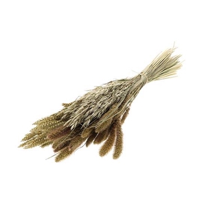 Bunch Dutch Mix Grass