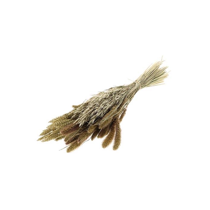 <h4>Bunch Dutch Mix Grass</h4>