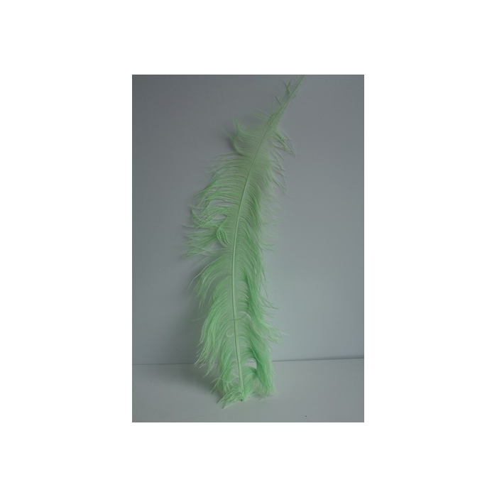 <h4>PLUIM STRUISVOGEL APPELGROEN</h4>