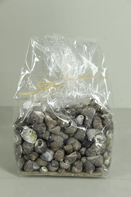 <h4>Shell Karpa Kadu (500gr)</h4>