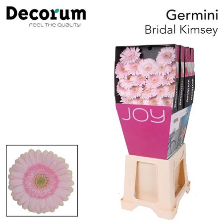 <h4>Ge Mi Bridal Kimsey Diamond</h4>