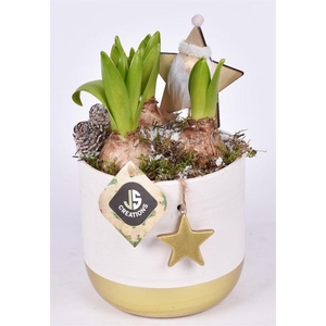 Keramiek met goud ster 13cm