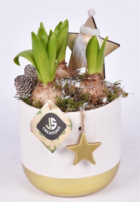 <h4>Keramiek met goud ster 13cm</h4>